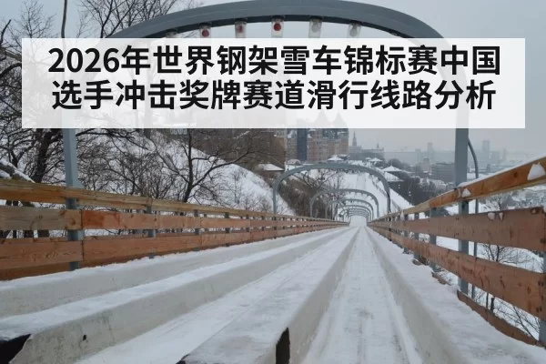 2026年世界钢架雪车锦标赛中国选手冲击奖牌赛道滑行线路分析